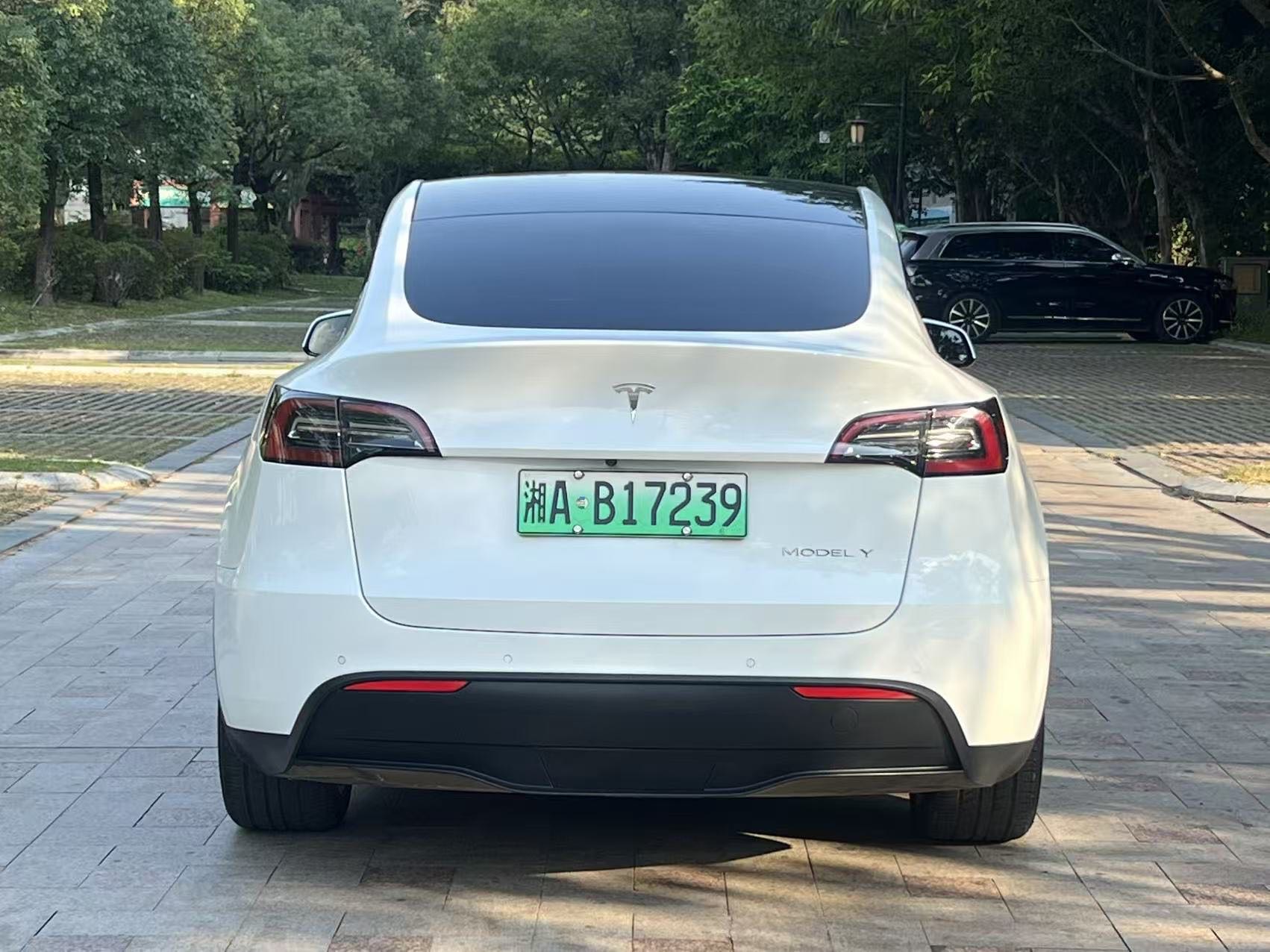 Tesla Model Y 2021 #9 Tesla Model Y 2021 car image #9