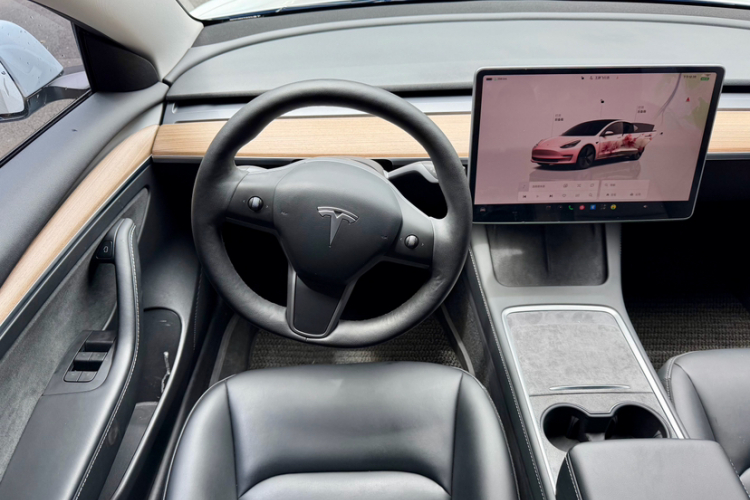 Tesla Model 3 2022 car image #17
