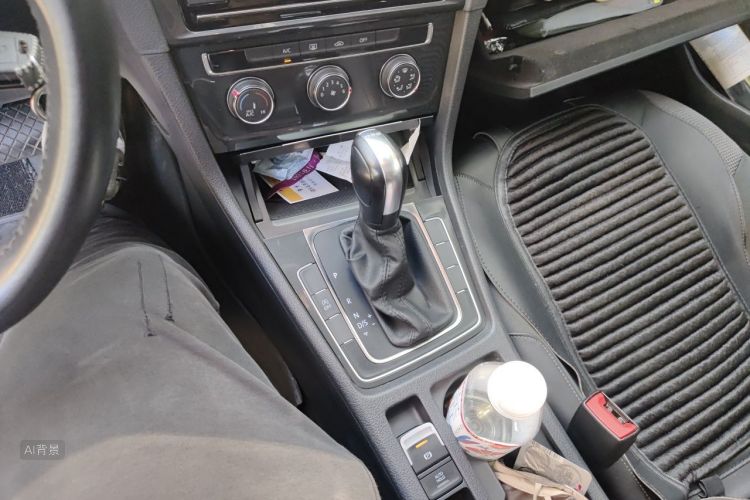 Volkswagen Golf 2019 car image #16
