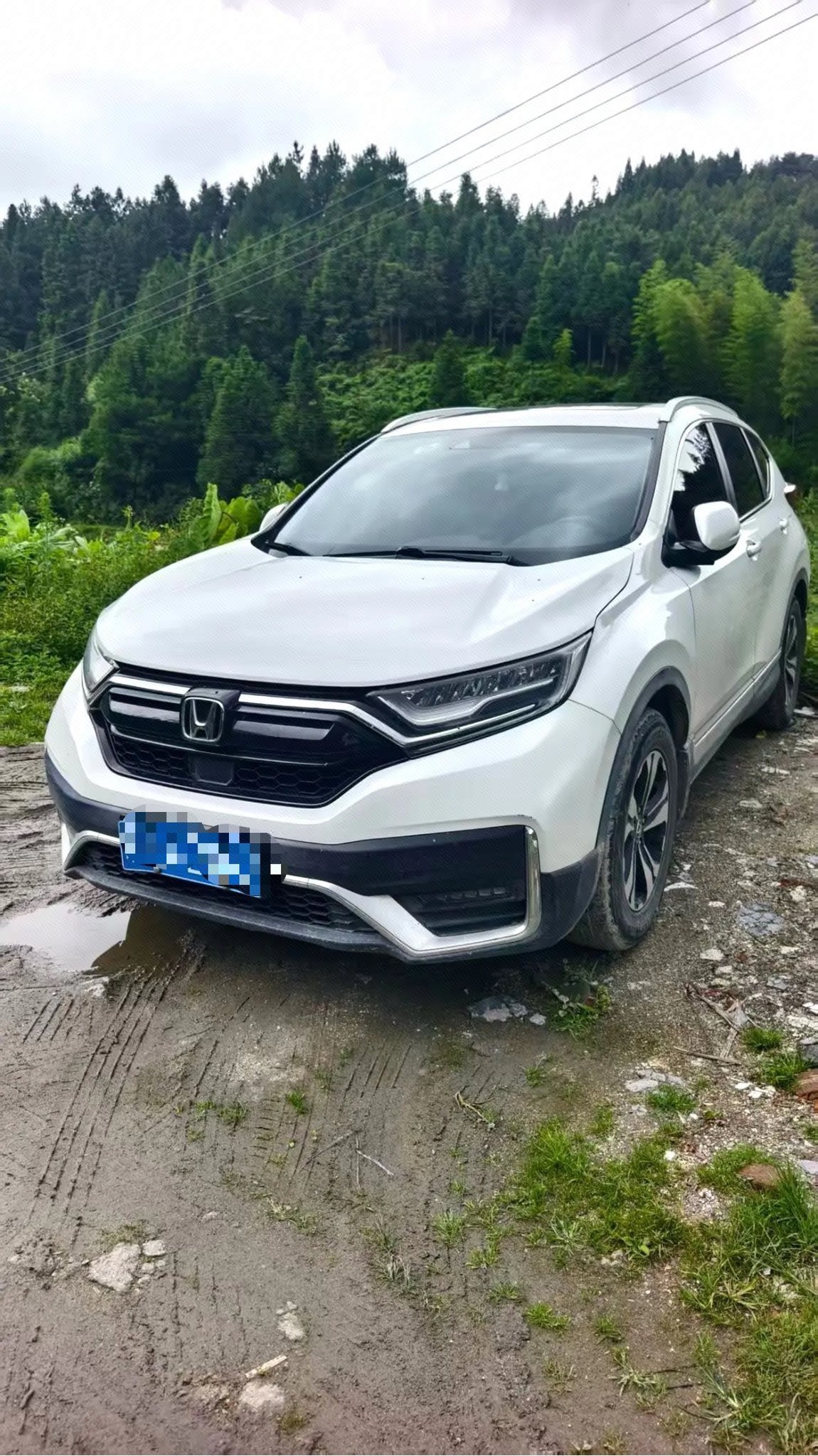 Honda CR-V 2020 Honda CR-V 2020 car image