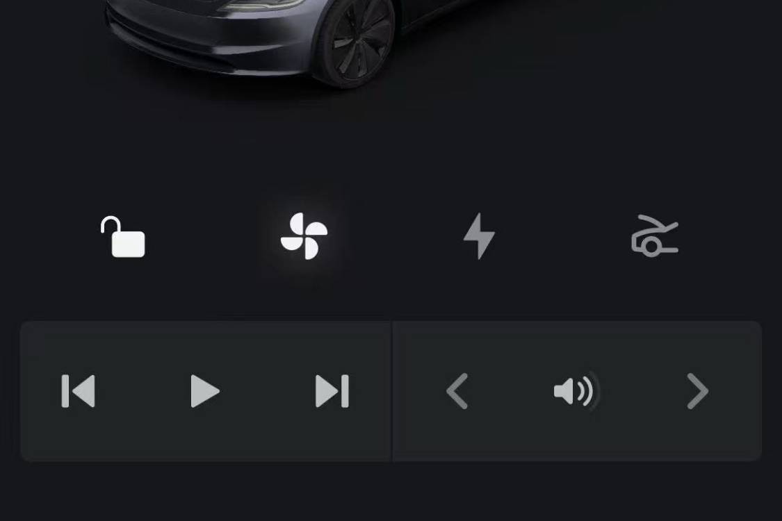 Tesla Model 3 2024 immagine di auto #28