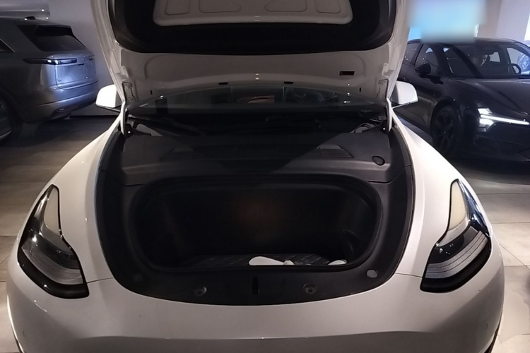 Tesla Model Y 2021 immagine di auto #20