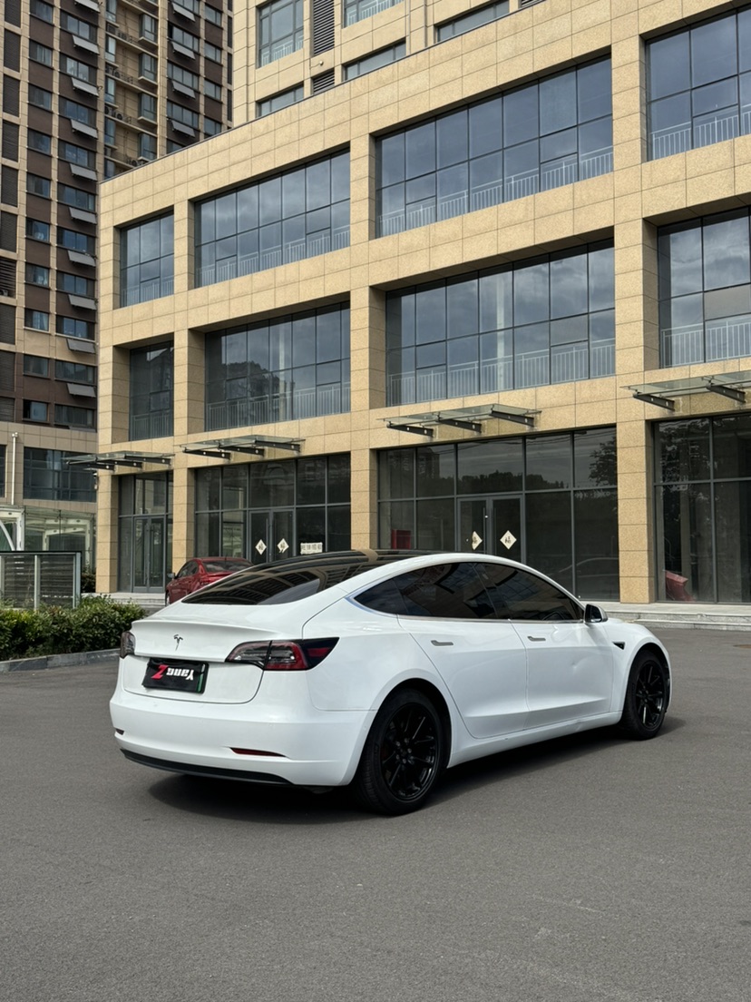 Tesla Model 3 2020 #9 Tesla Model 3 2020 car image #9
