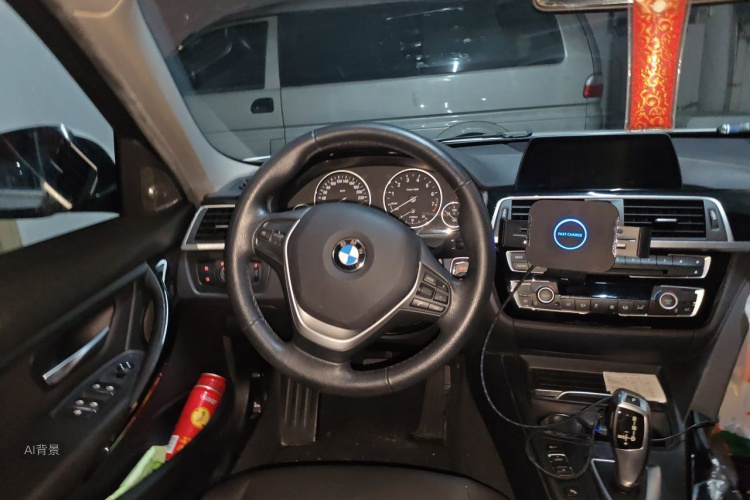BMW 3 Series 2016 car image #12