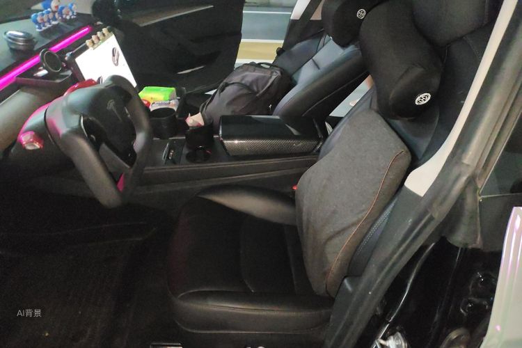 特斯拉 Model 3 2022 汽车图片 #17