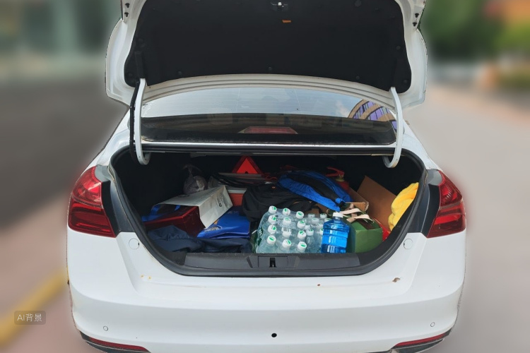 GEELY Emgrand 2019 #21 GEELY Emgrand 2019 car image #21
