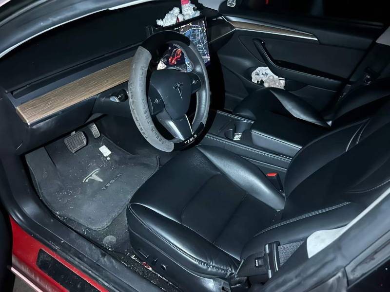 Tesla Model 3 2021 #3 Tesla Model 3 2021 car image #3