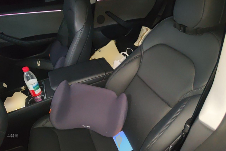 Tesla Model 3 2026 car image #17