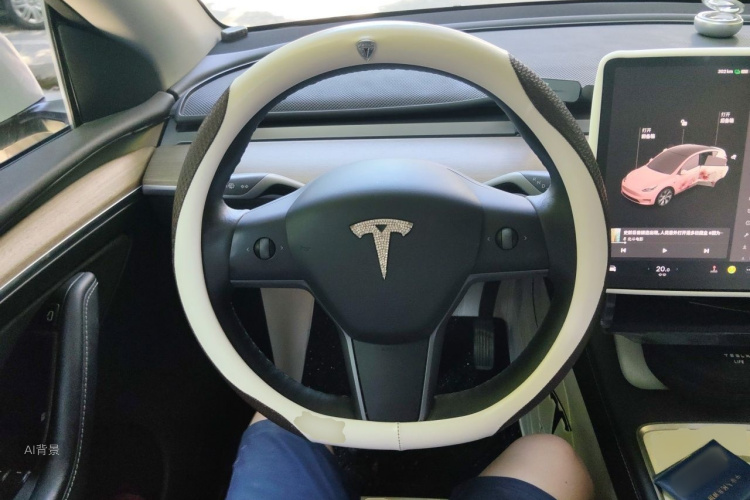 Tesla Model Y 2022 car image #12