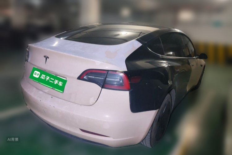 Tesla Model 3 2022 car image #7