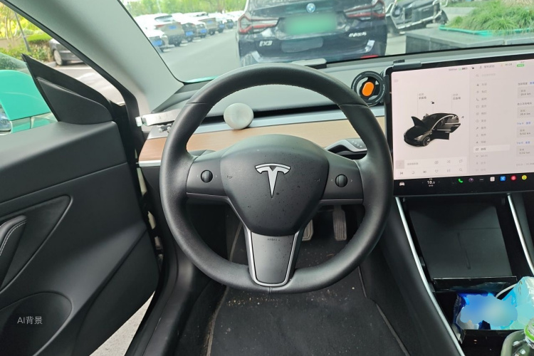 Tesla Model 3 2020 car image #12