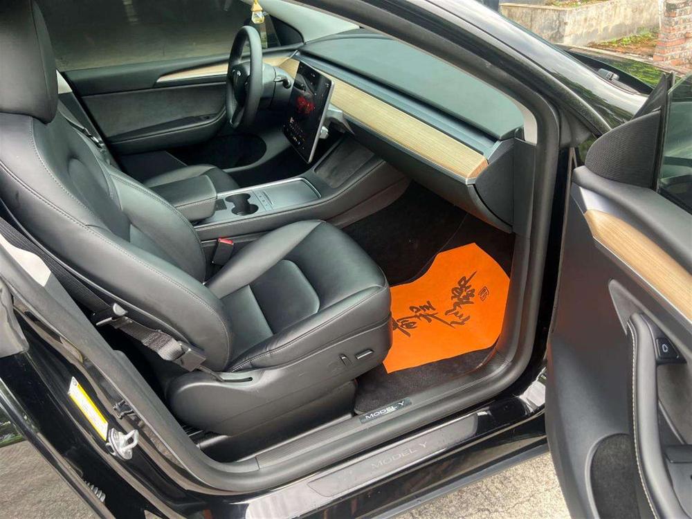 Tesla Model Y 2022 car image #10