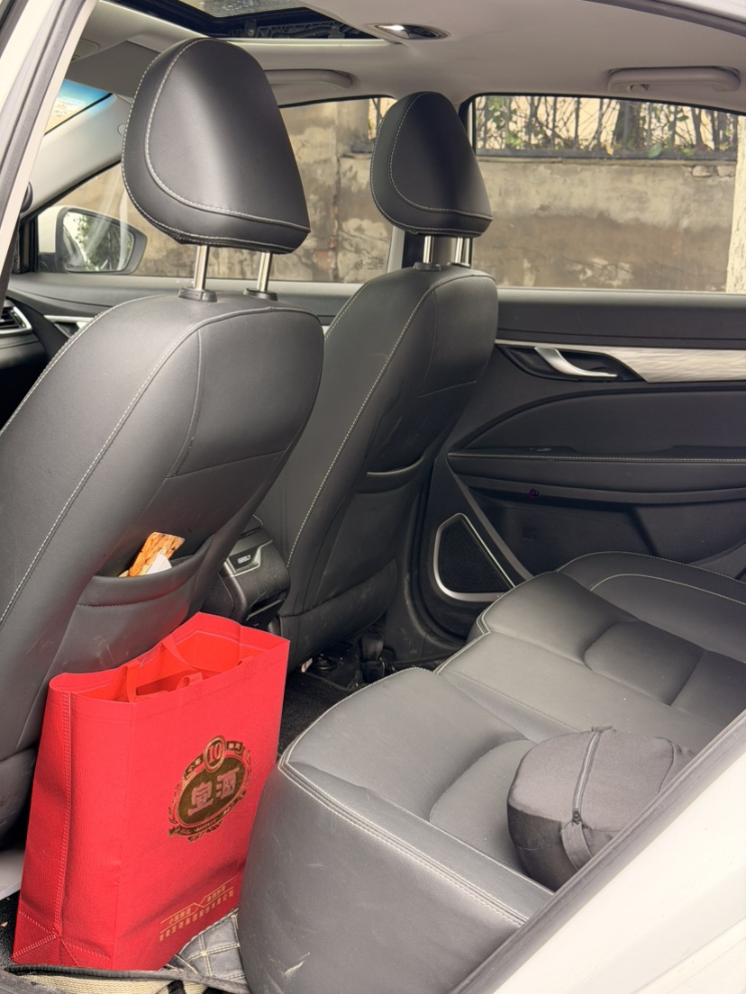 GEELY Emgrand 2019 car image #5