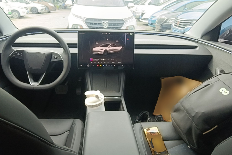 Tesla Model 3 2025 car image #10