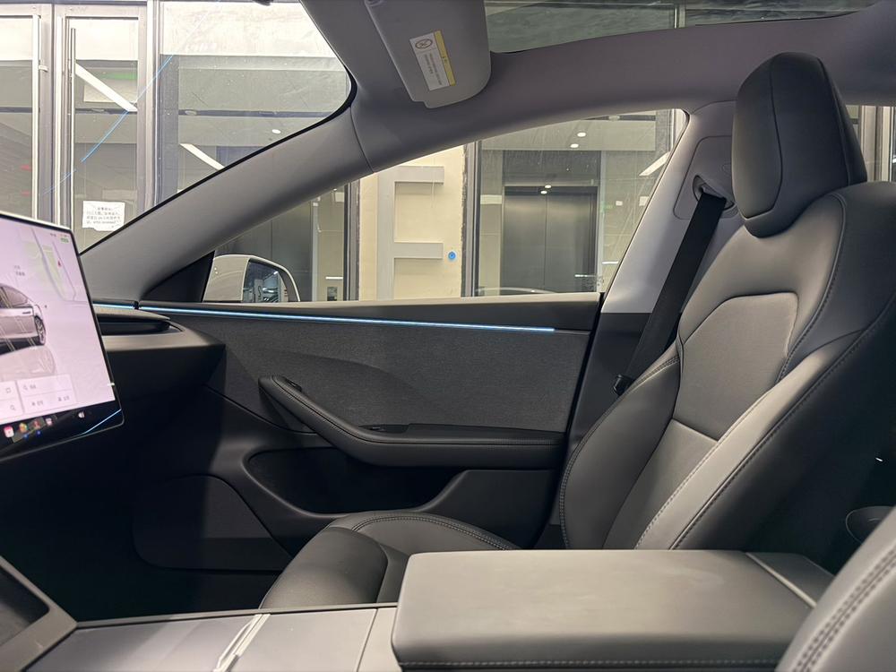 Tesla Model 3 2025 صورة سيارة #18