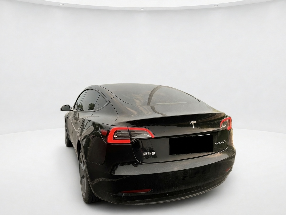 Tesla Model 3 2023 #5 Tesla Model 3 2023 car image #5