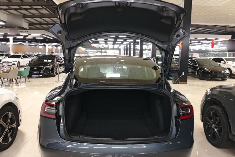 Tesla Model 3 2020 #21 Tesla Model 3 2020 car image #21