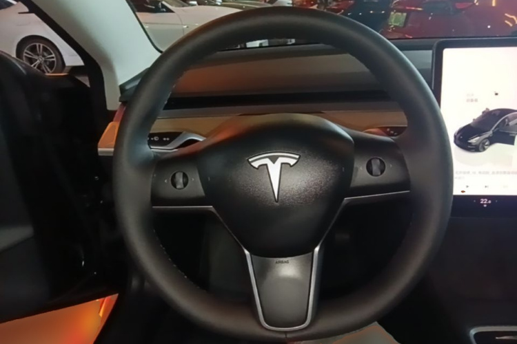 Tesla Model 3 2022 #11 Tesla Model 3 2022 car image #11