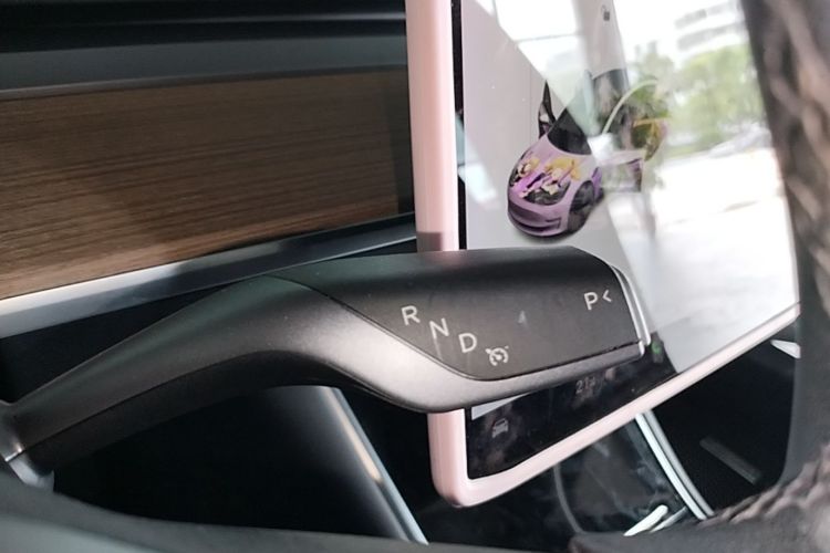 Tesla Model 3 2020 car image #14