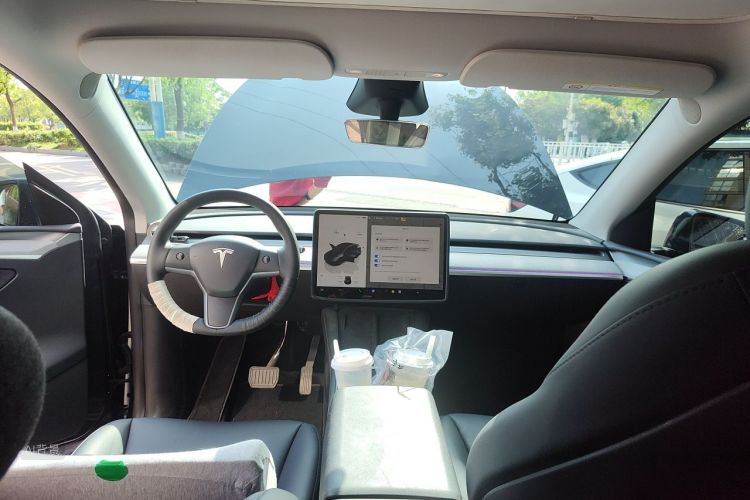 Tesla Model Y 2024 car image #20