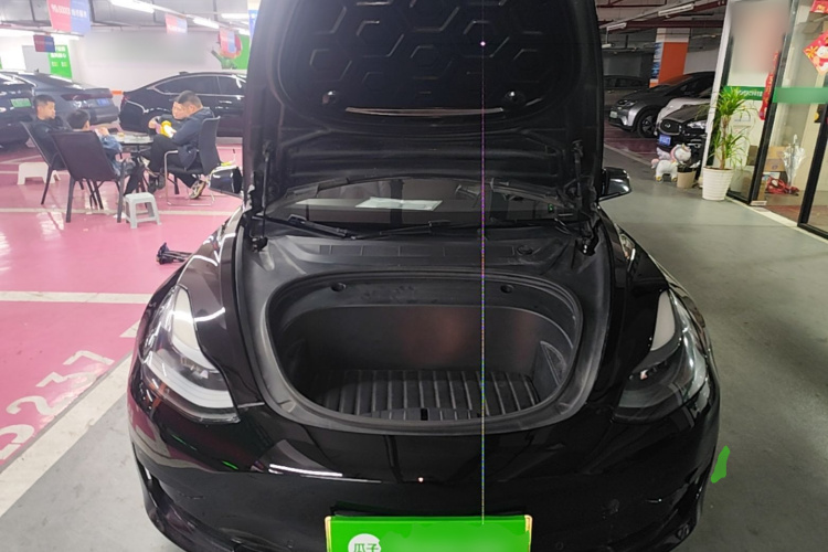 Tesla Model 3 2021 imagem de carro #20