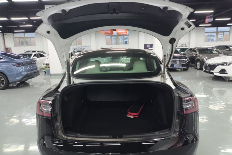 Tesla Model 3 2021 #19 Tesla Model 3 2021 car image #19
