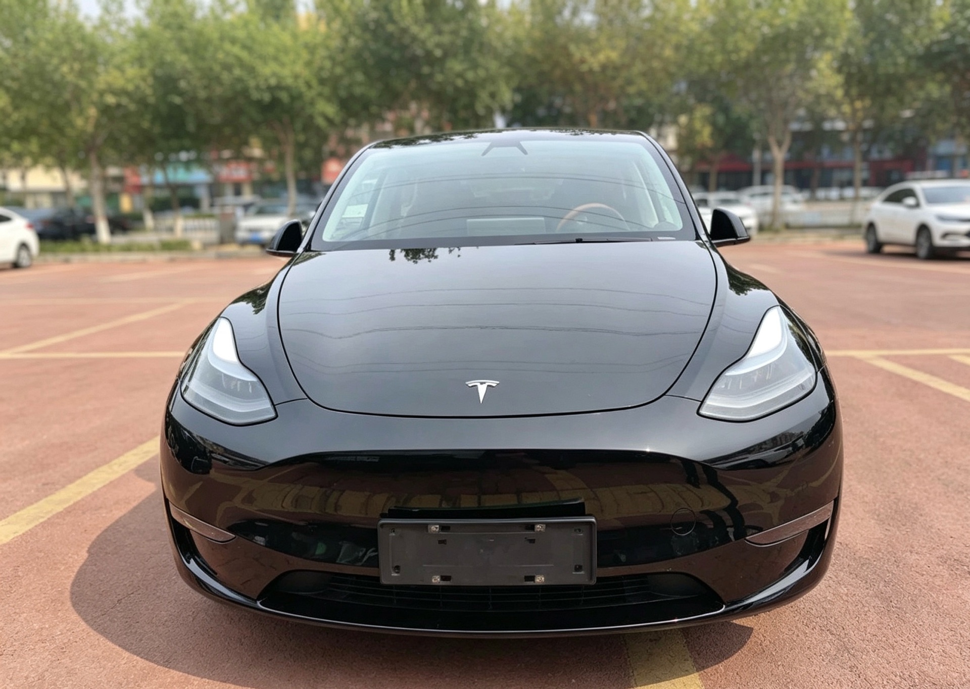 Tesla Model Y 2021 car image #6