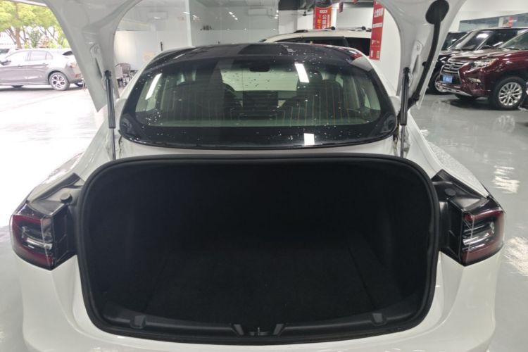 Tesla Model 3 2020 #19 Tesla Model 3 2020 car image #19