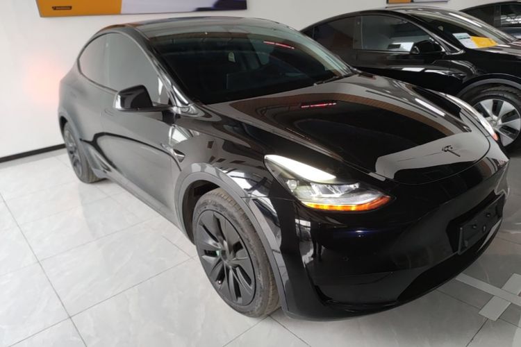 Tesla Model Y 2023 #6 Tesla Model Y 2023 car image #6