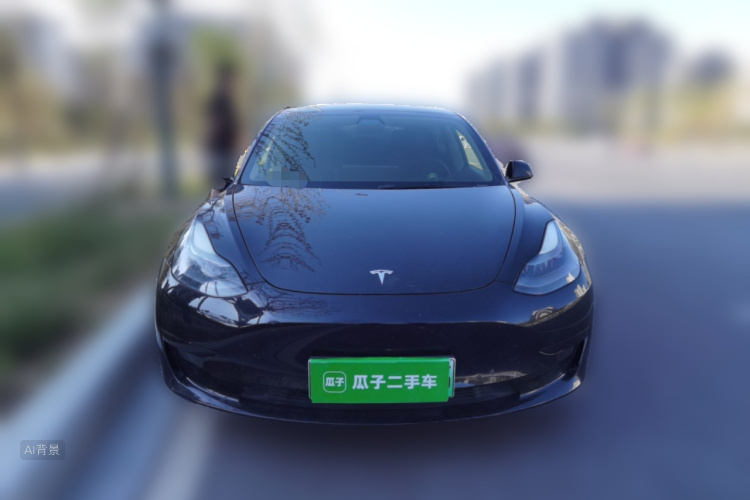 Tesla Model 3 2021 #3 Tesla Model 3 2021 car image #3