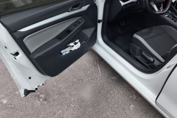 Volkswagen Golf 2023 car image #18