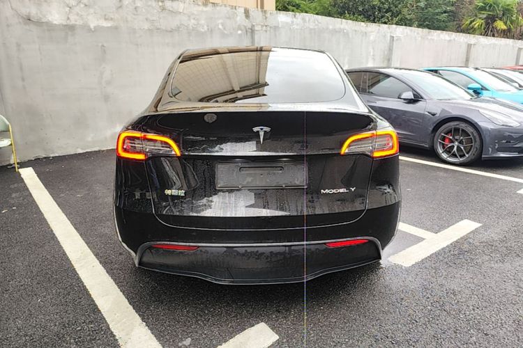 Tesla Model Y 2022 car image #6