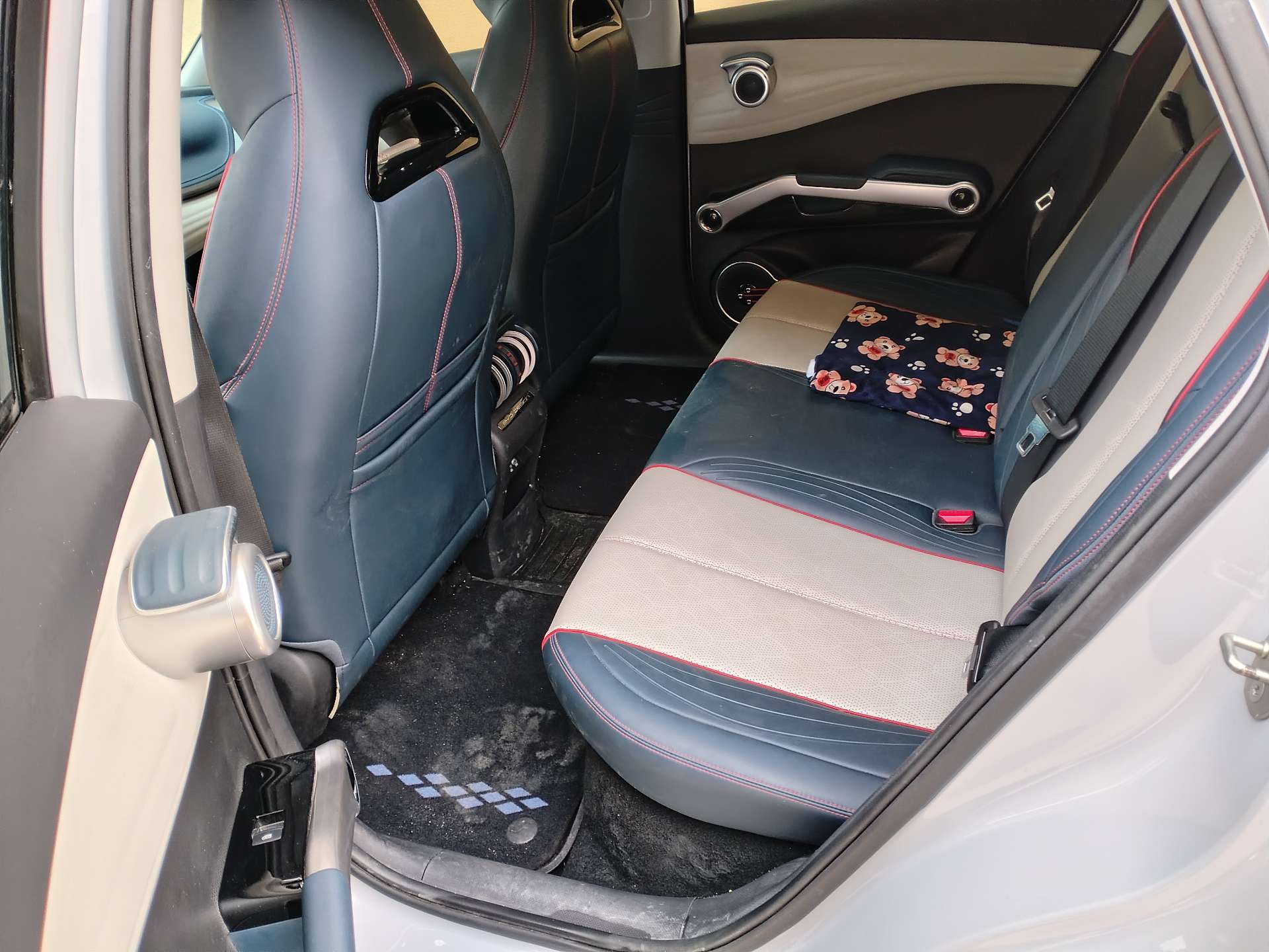 BYD Yuan Plus 2022 car image #8