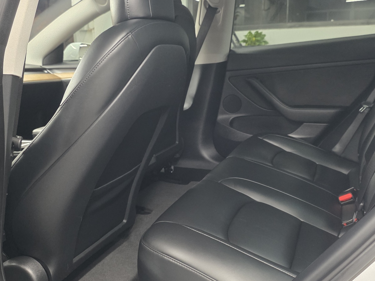 Tesla Model 3 2021 #6 Tesla Model 3 2021 immagine di auto #6