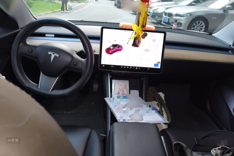 Tesla Model 3 2020 car image #11