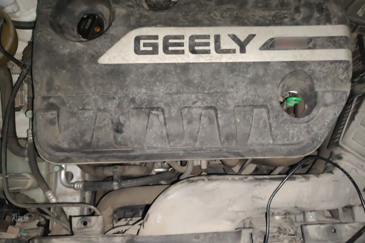 GEELY Emgrand GS 2016 car image #22