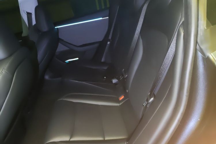 Tesla Model 3 2024 car image #10