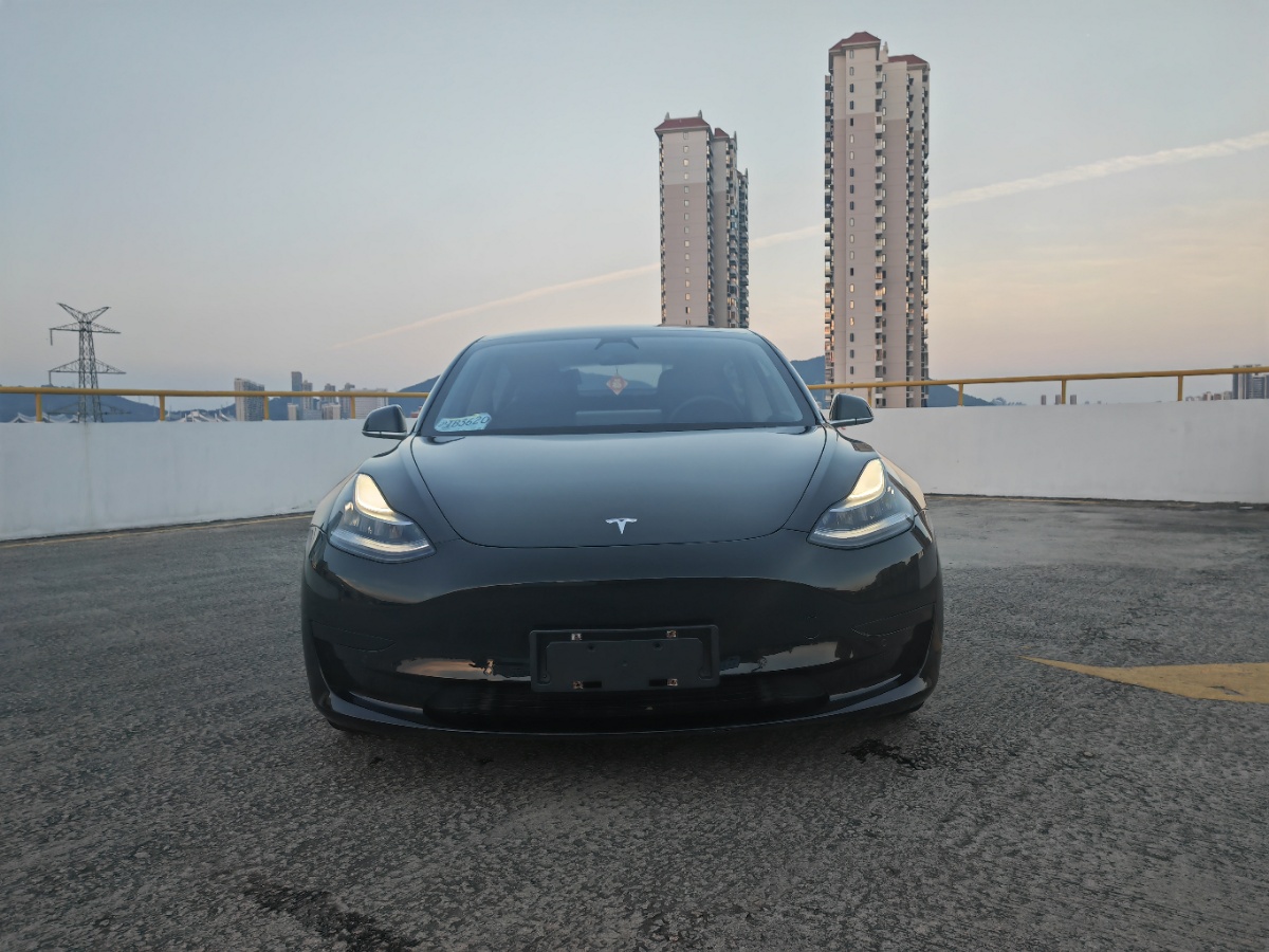 Tesla Model 3 2020 #2 Tesla Model 3 2020 car image #2