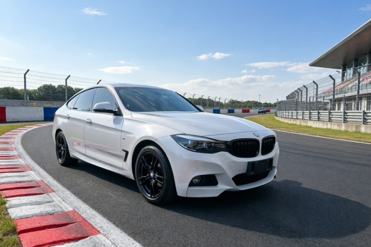 BMW 3 Series GT 2019 #7 BMW 3 Series GT 2019 imagen de coche #7