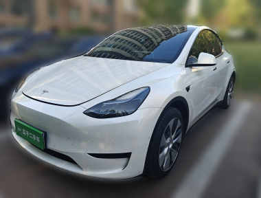 Tesla Model Y 2023 Tesla Model Y 2023 car image