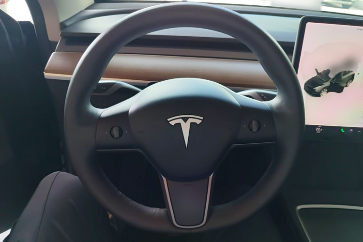 Tesla Model Y 2021 #15 Tesla Model Y 2021 car image #15