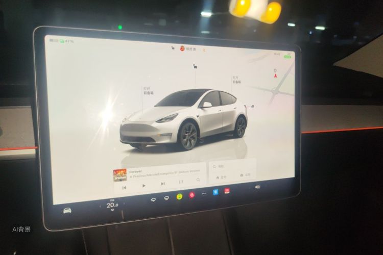 Tesla Model Y 2024 car image #13