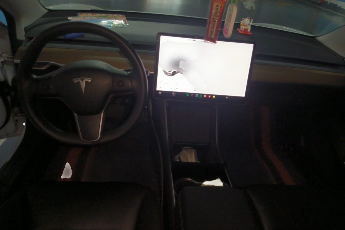 Tesla Model 3 2020 #22 Tesla Model 3 2020 car image #22