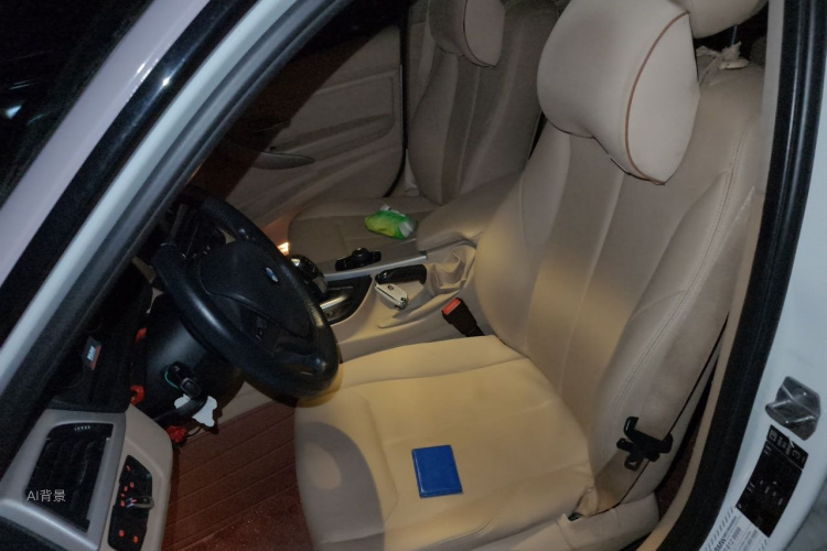 BMW 3 Series 2014 car image #17