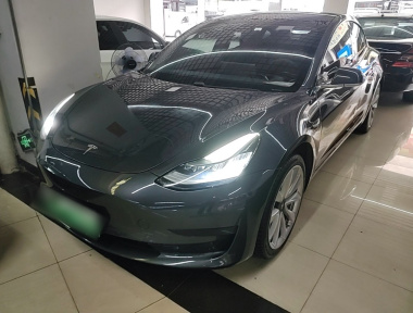 Tesla Model 3 2020 Tesla Model 3 2020 car image
