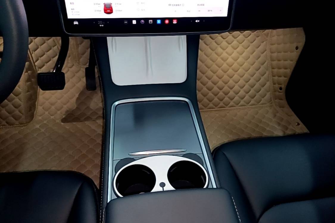 Tesla Model Y 2024 car image #15