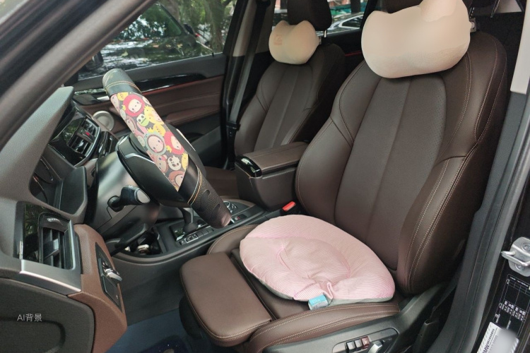 BMW X1 2021 car image #17