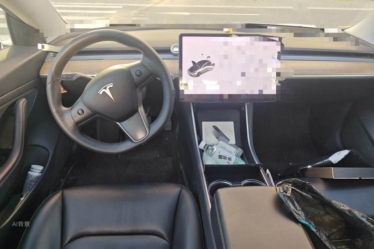 Tesla Model 3 2020 car image #11