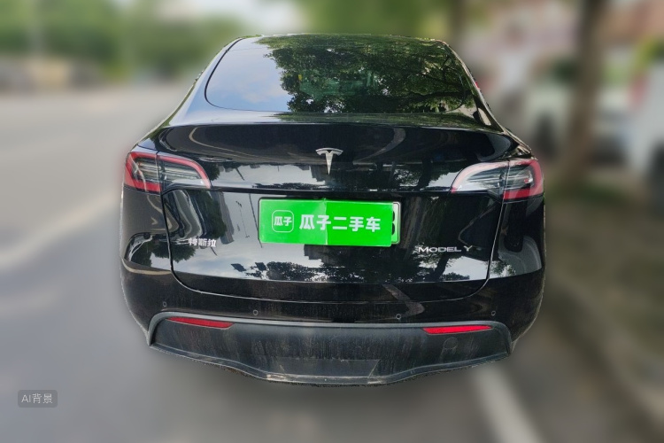 Tesla Model Y 2021 car image #6