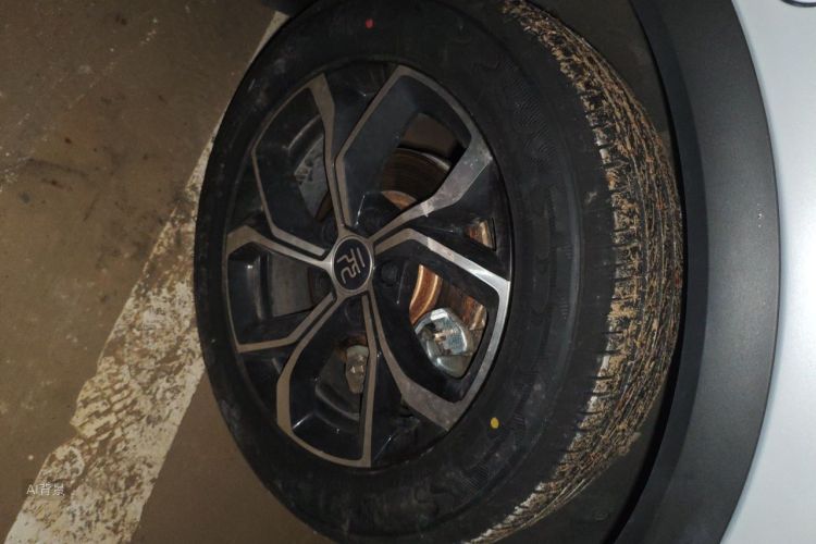 BYD Yuan Plus 2023 car image #9